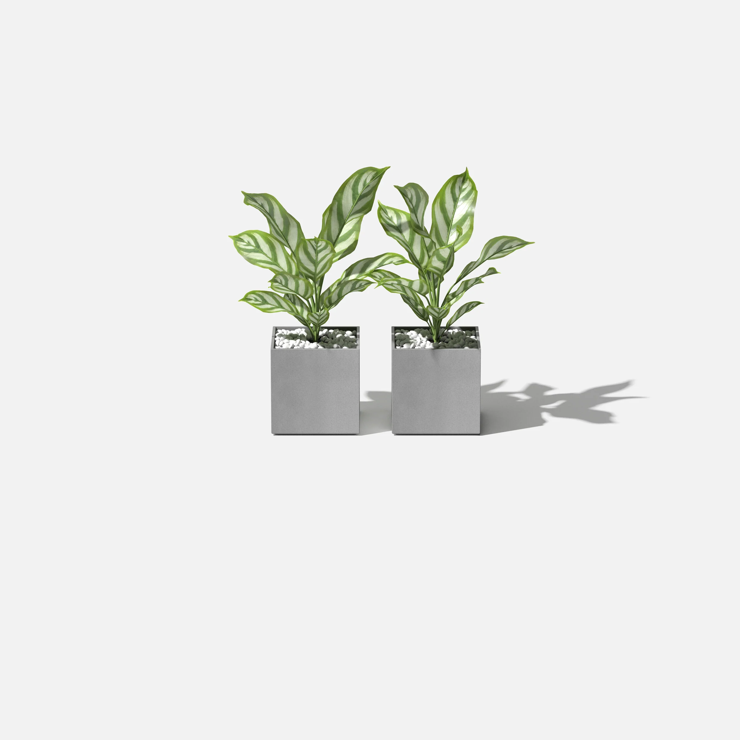 geo cube planter - Image 25