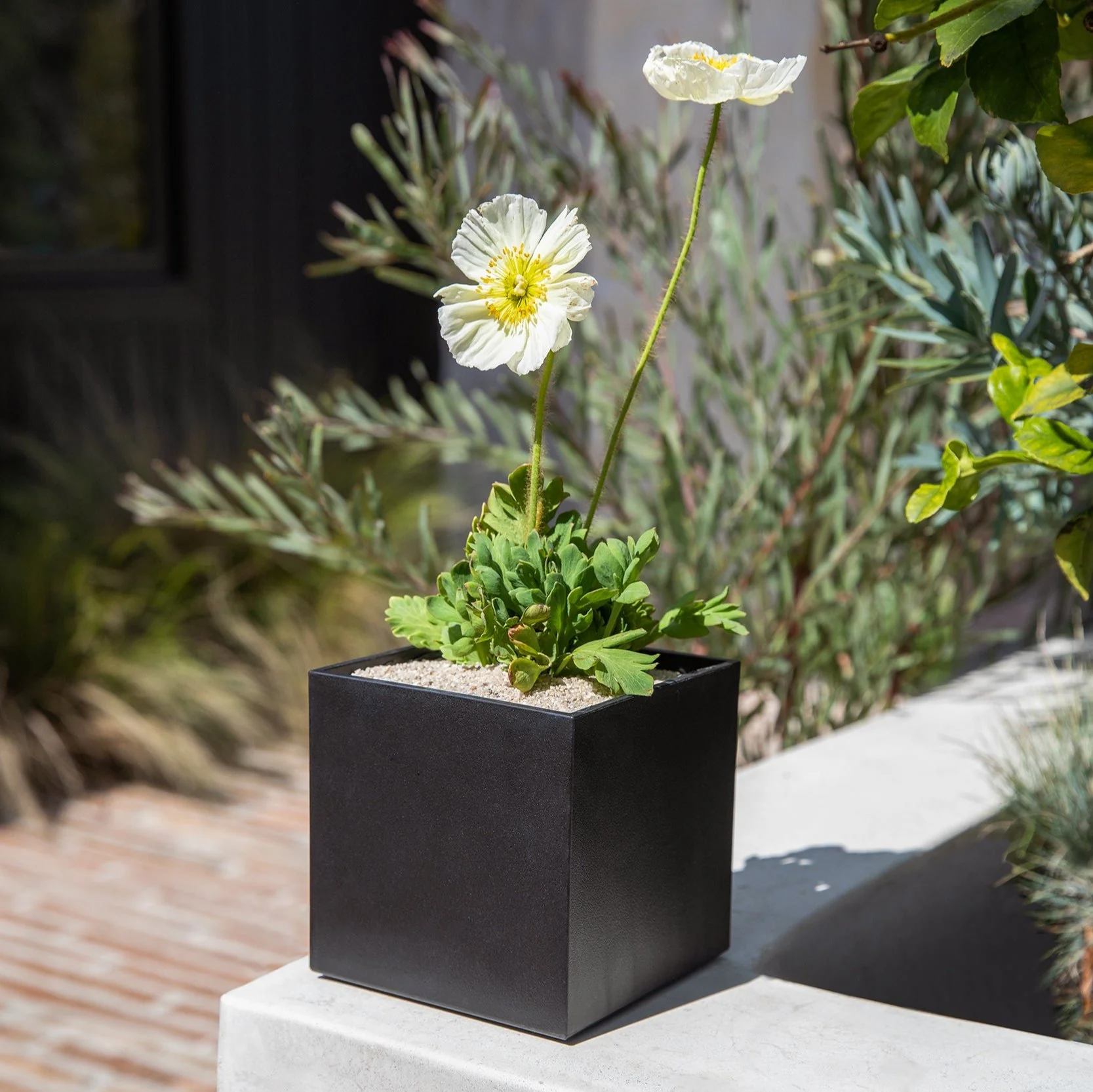 geo cube planter - Image 29
