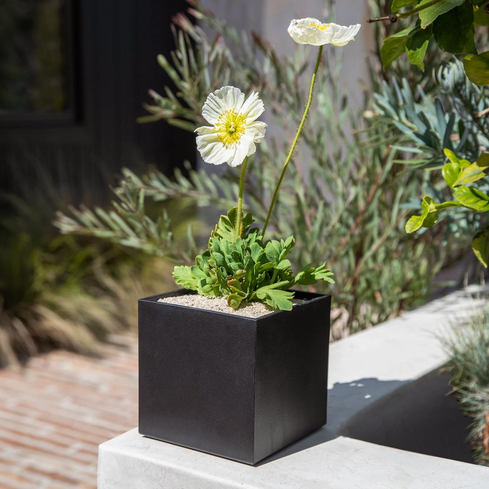 geo cube planter - Image 31