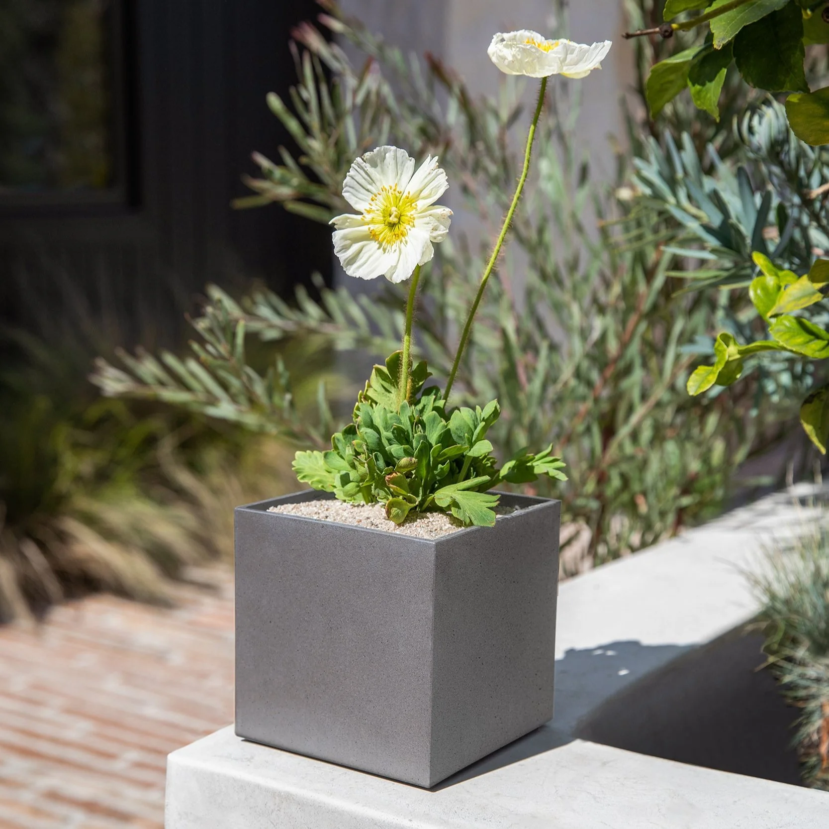 geo cube planter - Image 33