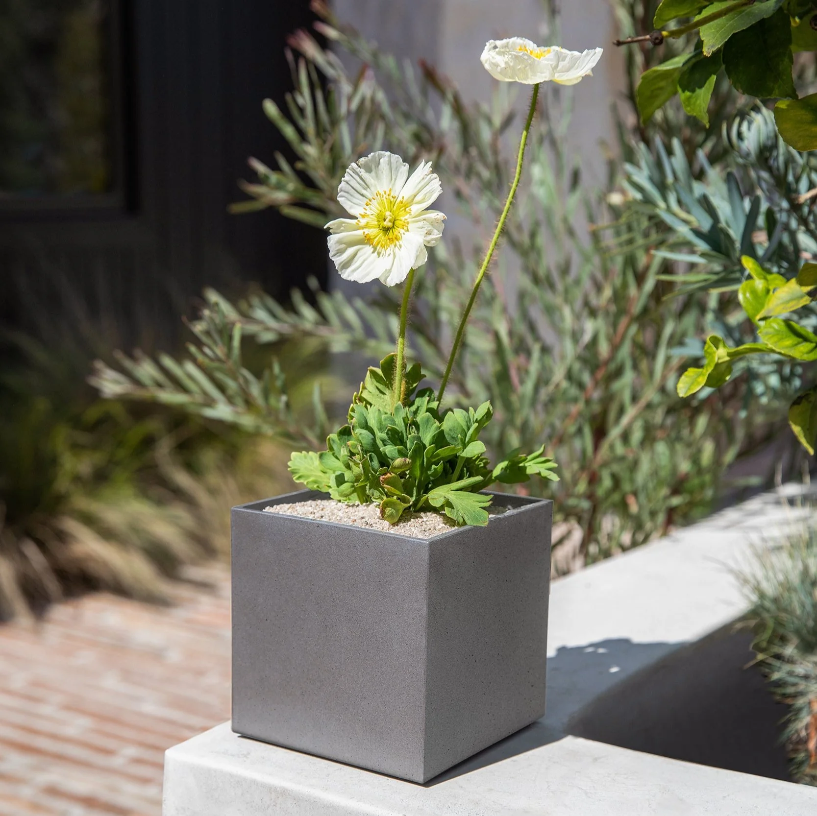 geo cube planter - Image 35