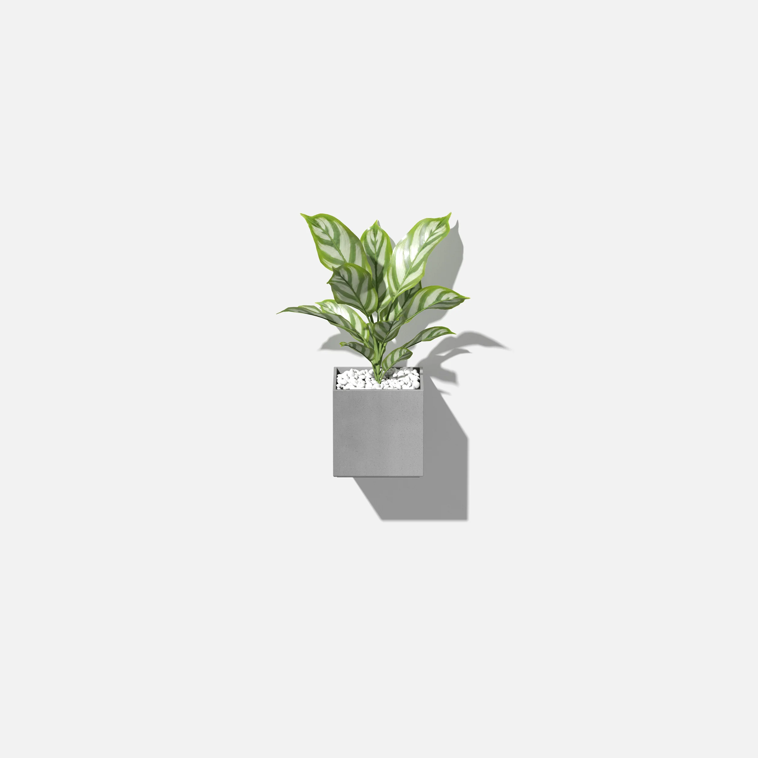 geo hanging cube planter - Image 15
