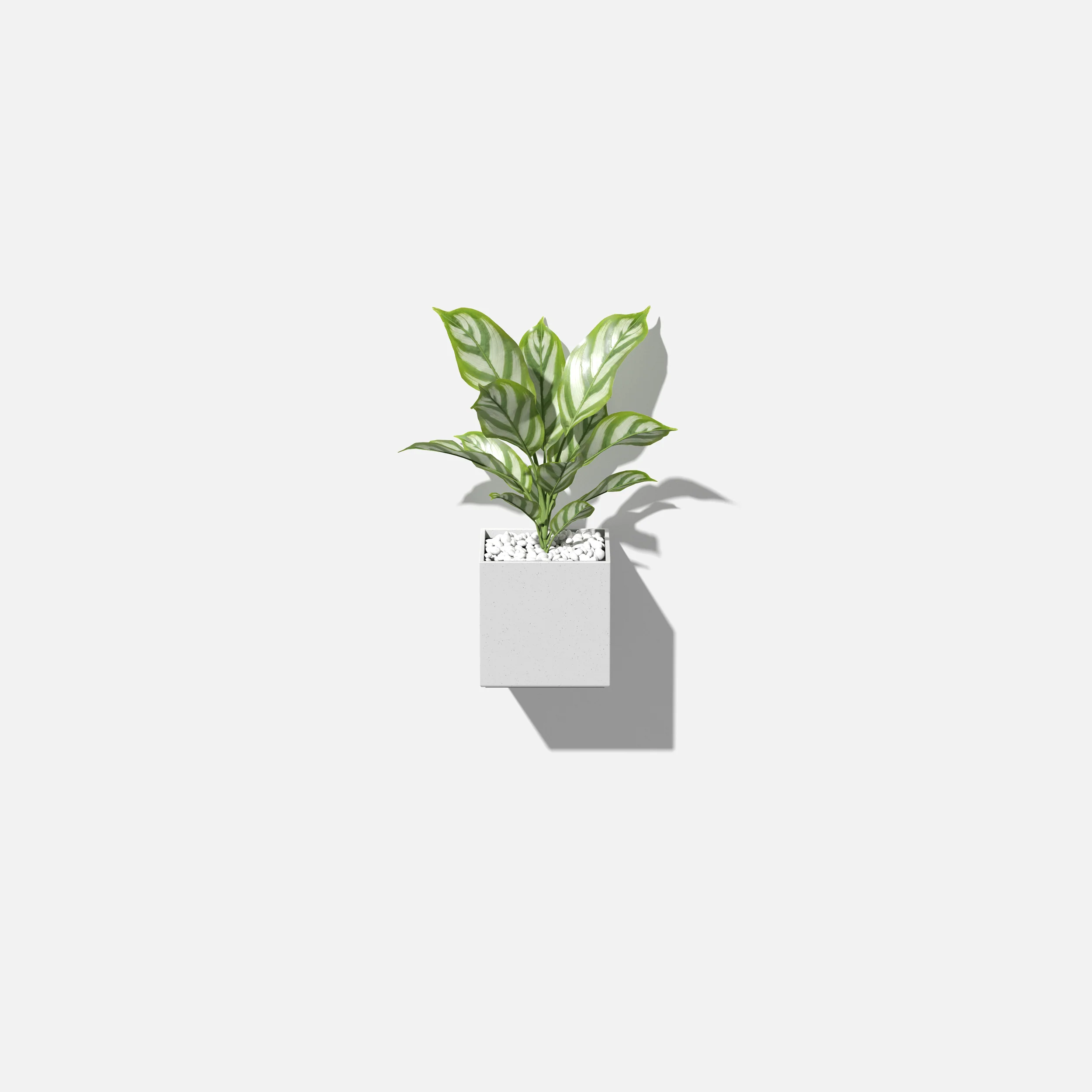 geo hanging cube planter - Image 21