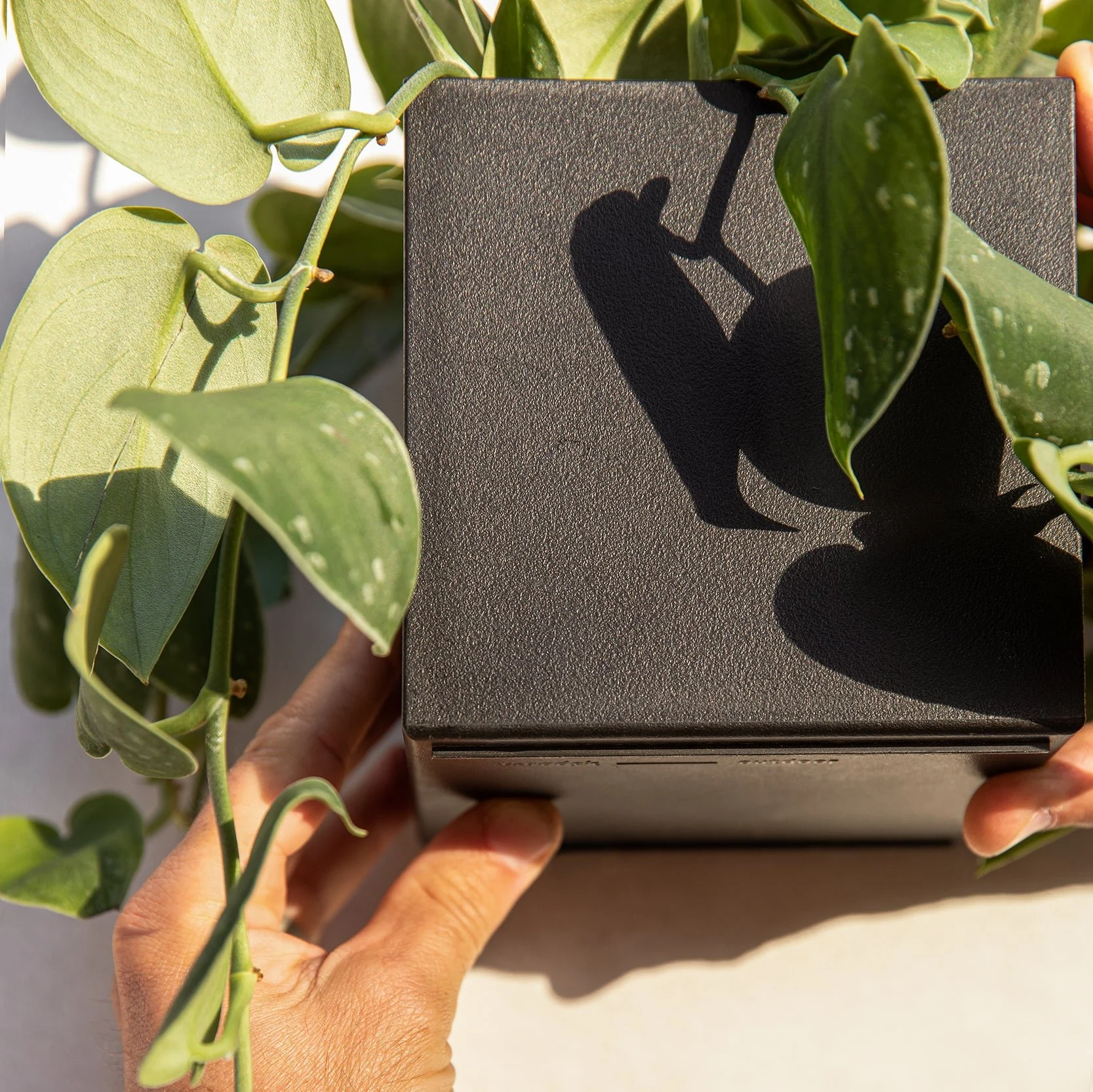 geo hanging cube planter - Image 5