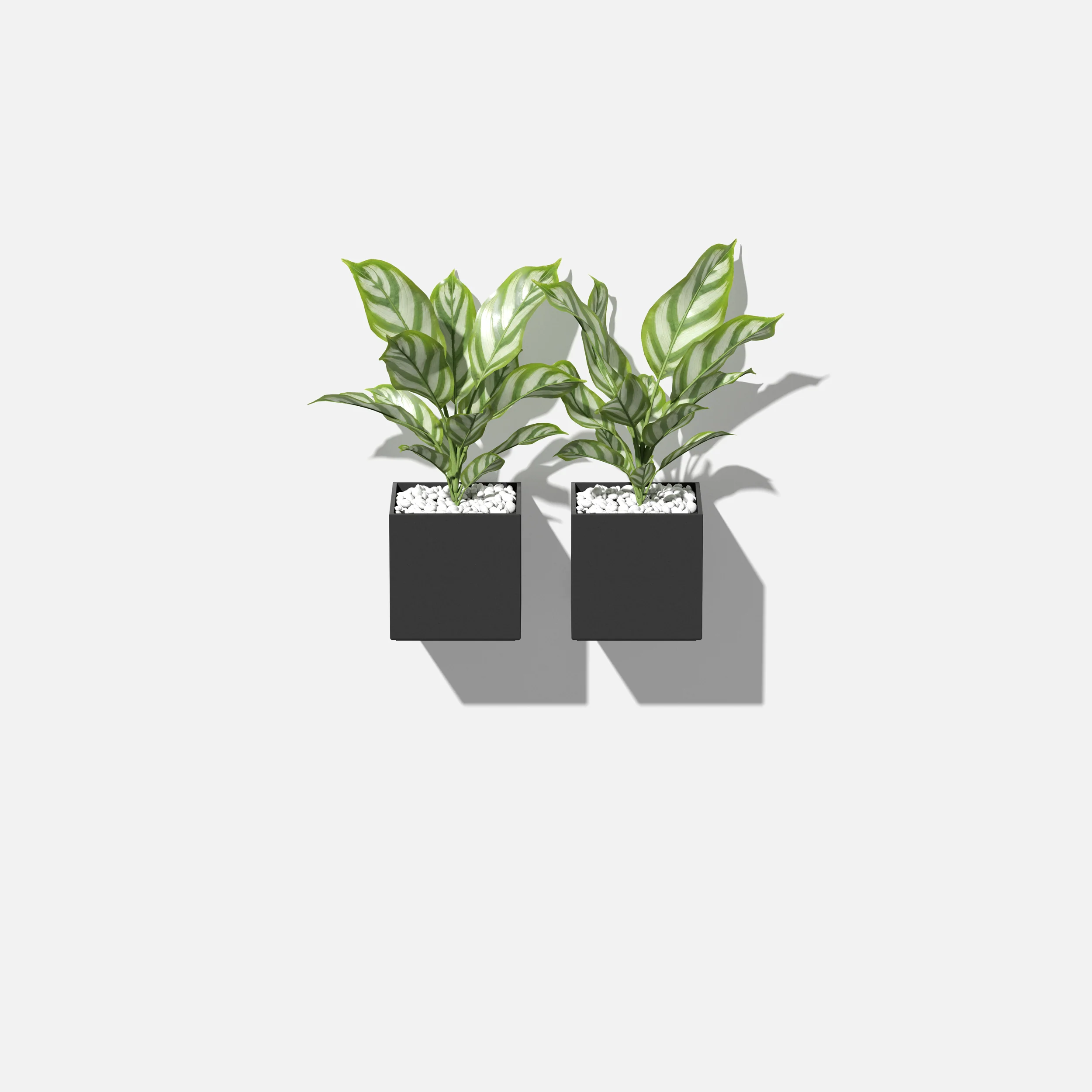 geo hanging cube planter - Image 9