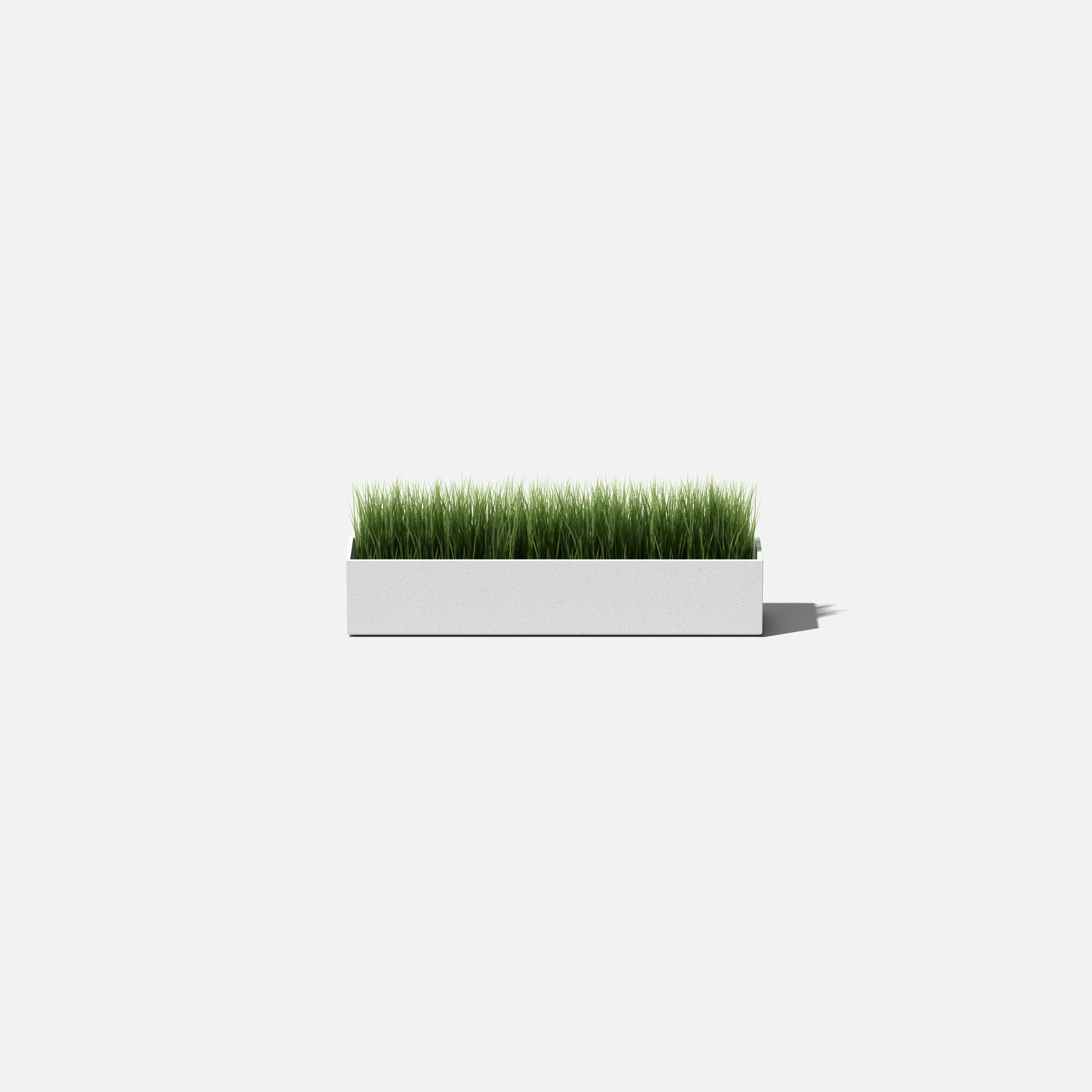geo short planter - Image 17