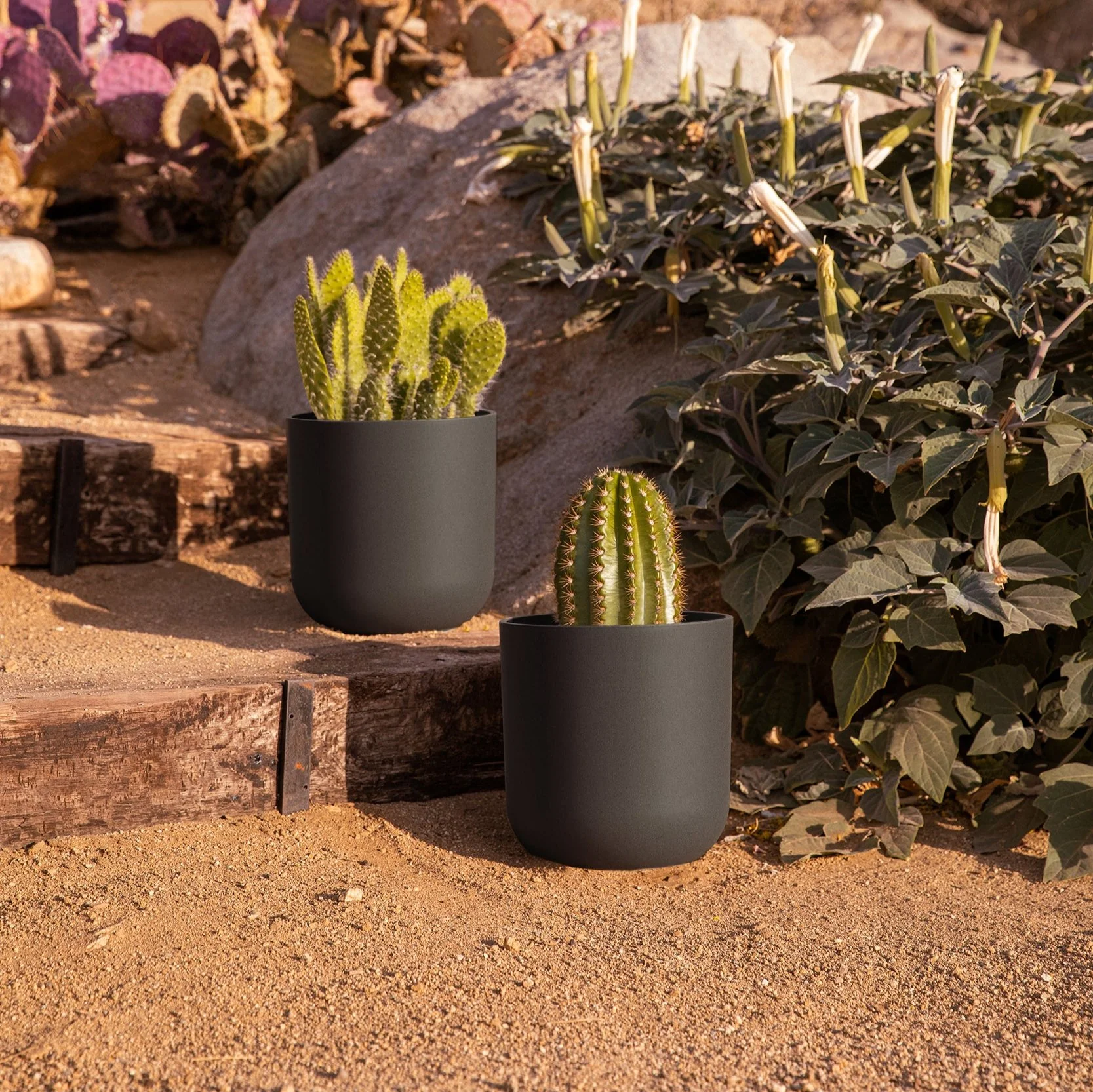 mason kona planter - Image 103