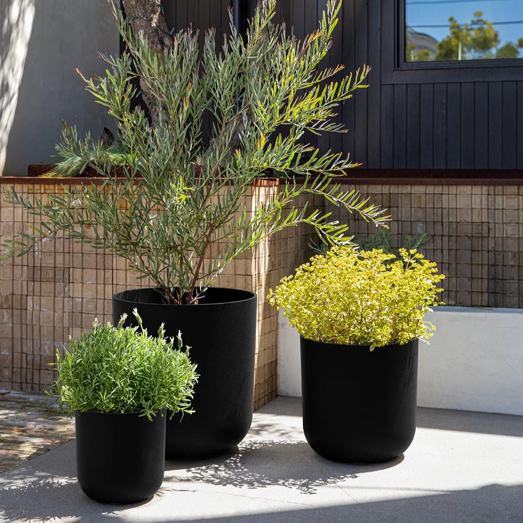 mason kona planter trio - Image 30