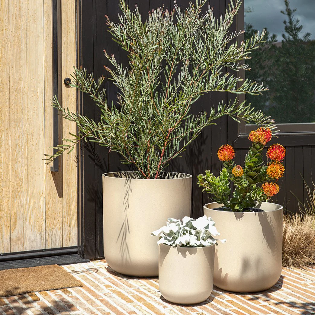 mason kona planter trio - Image 33