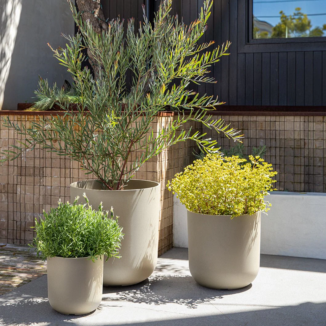 mason kona planter trio - Image 34