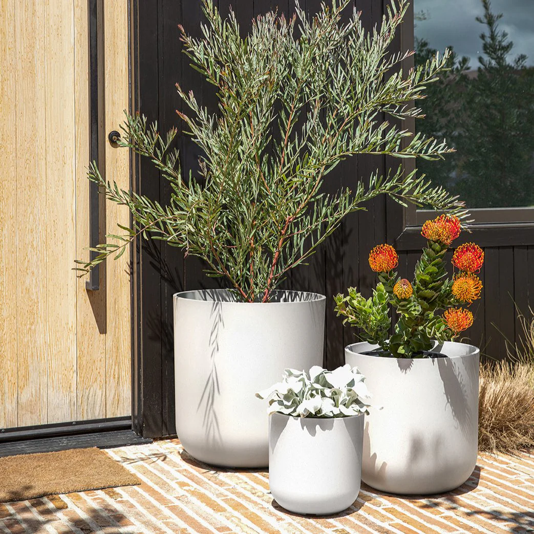 mason kona planter trio - Image 35