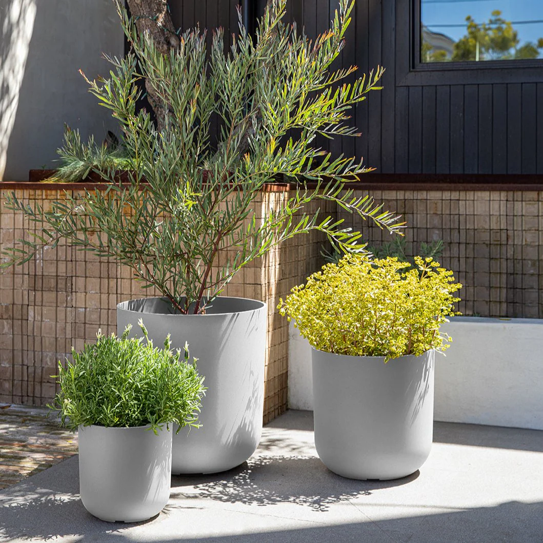 mason kona planter trio - Image 36