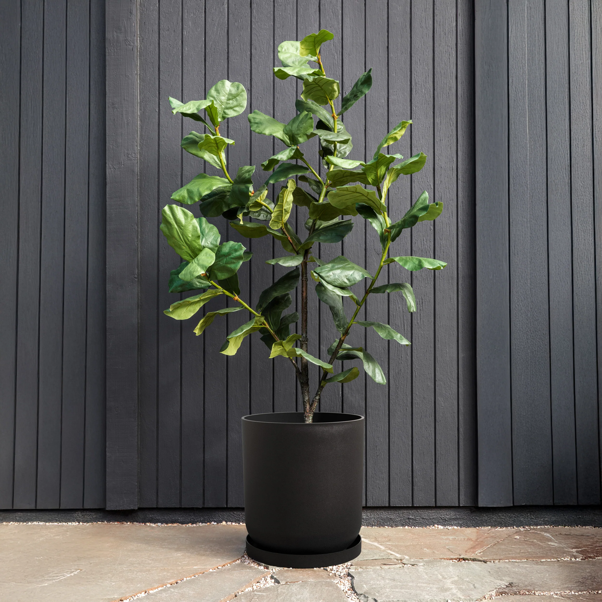 mason kona - the only tray™ - Image 119
