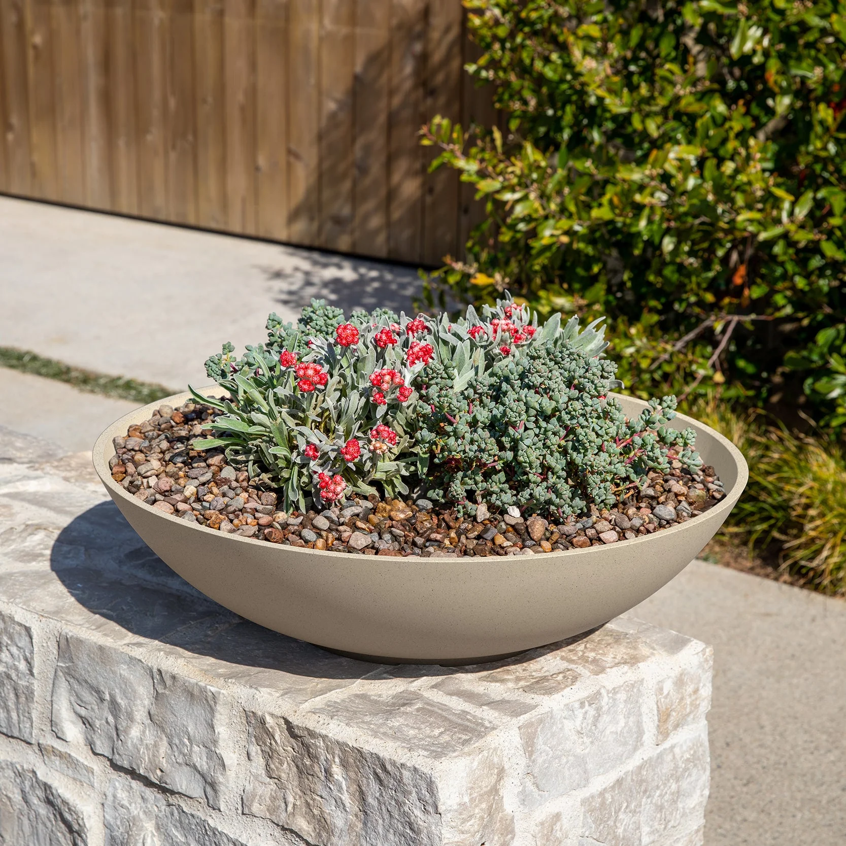 mason lane bowl - Image 150