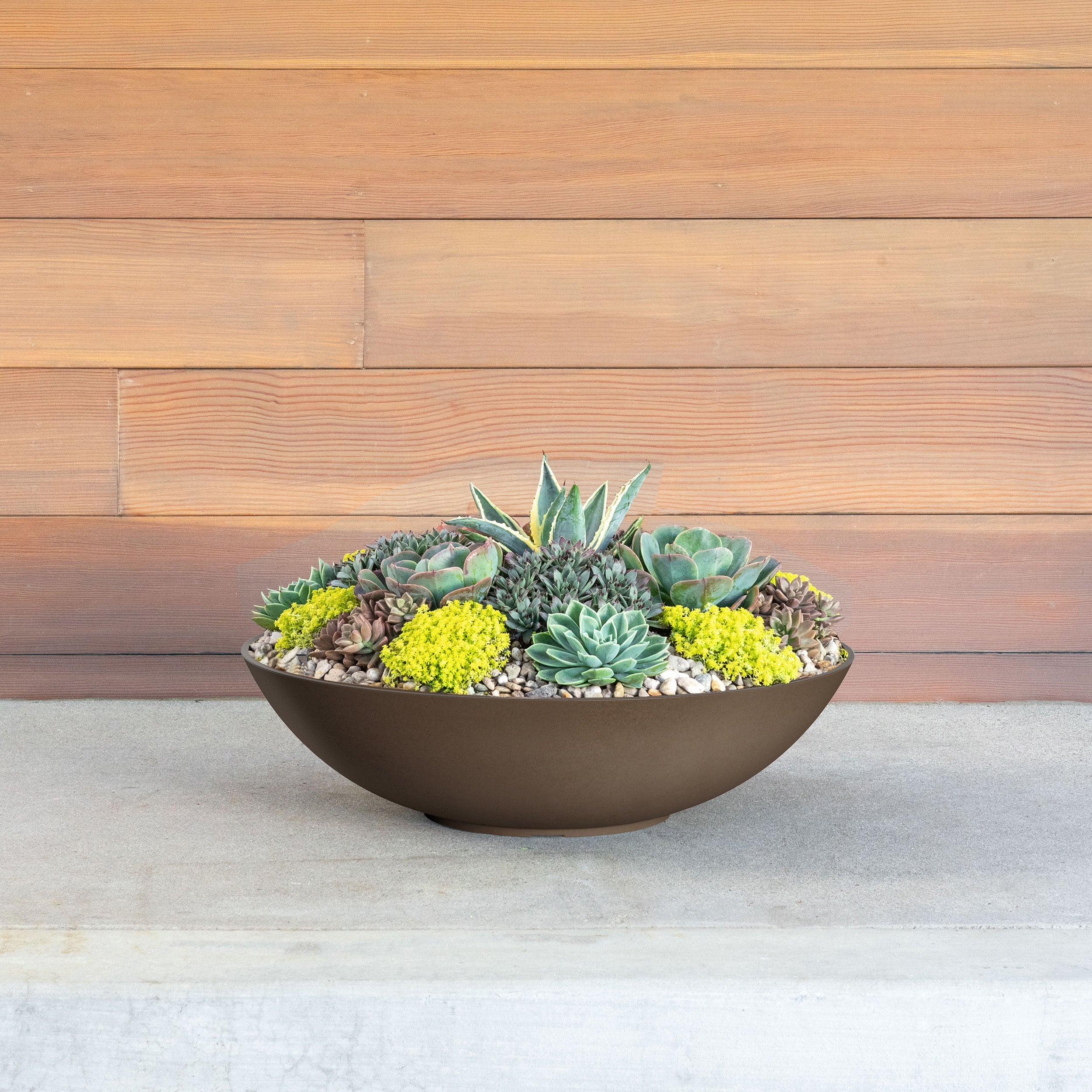 mason lane bowl - Image 5
