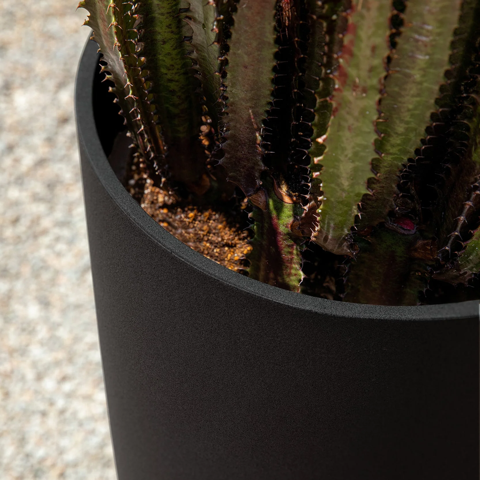 mason selena planter - Image 23