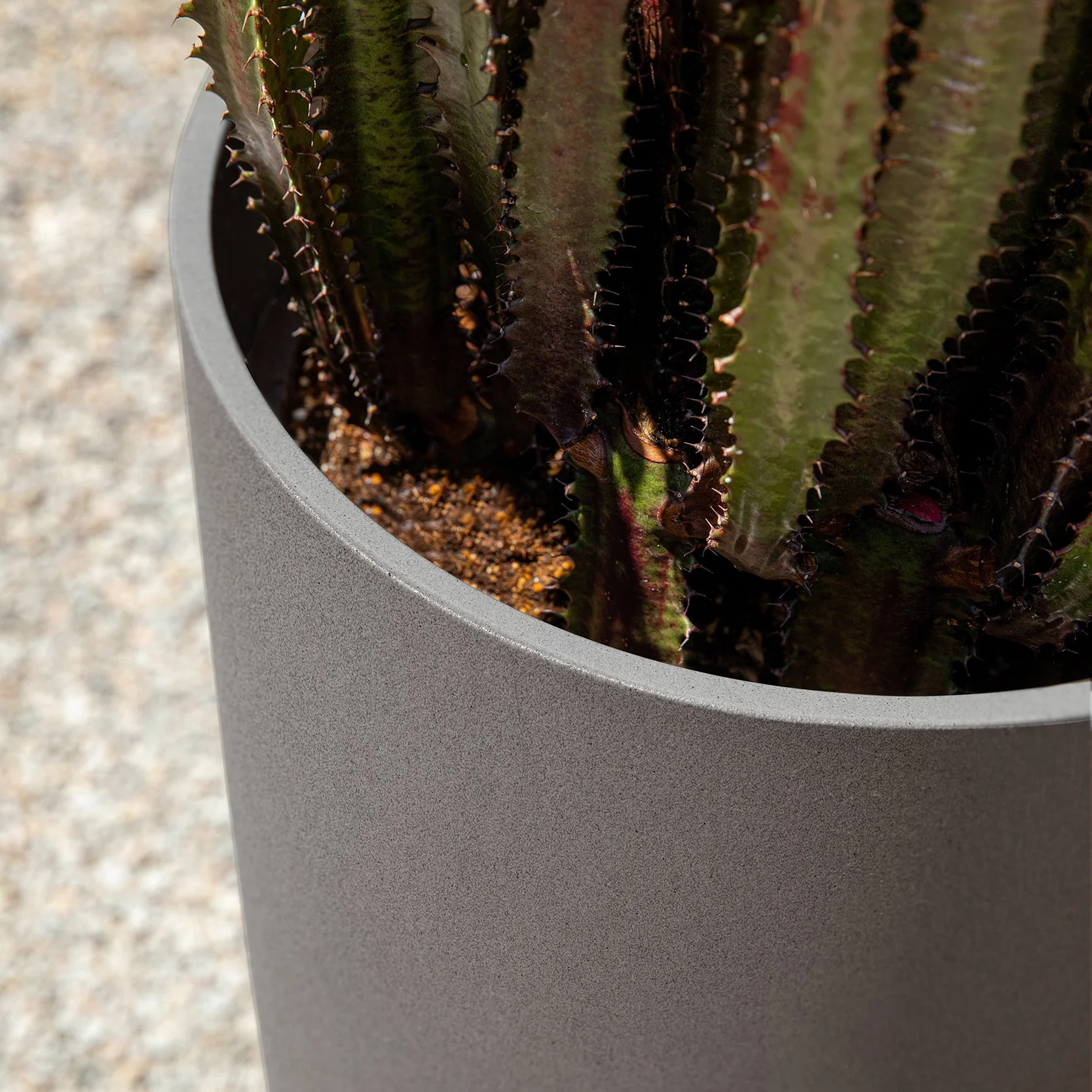 mason selena planter - Image 38