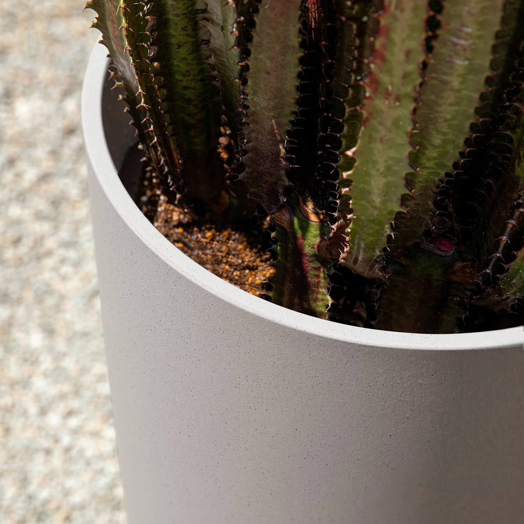 mason selena planter - Image 53