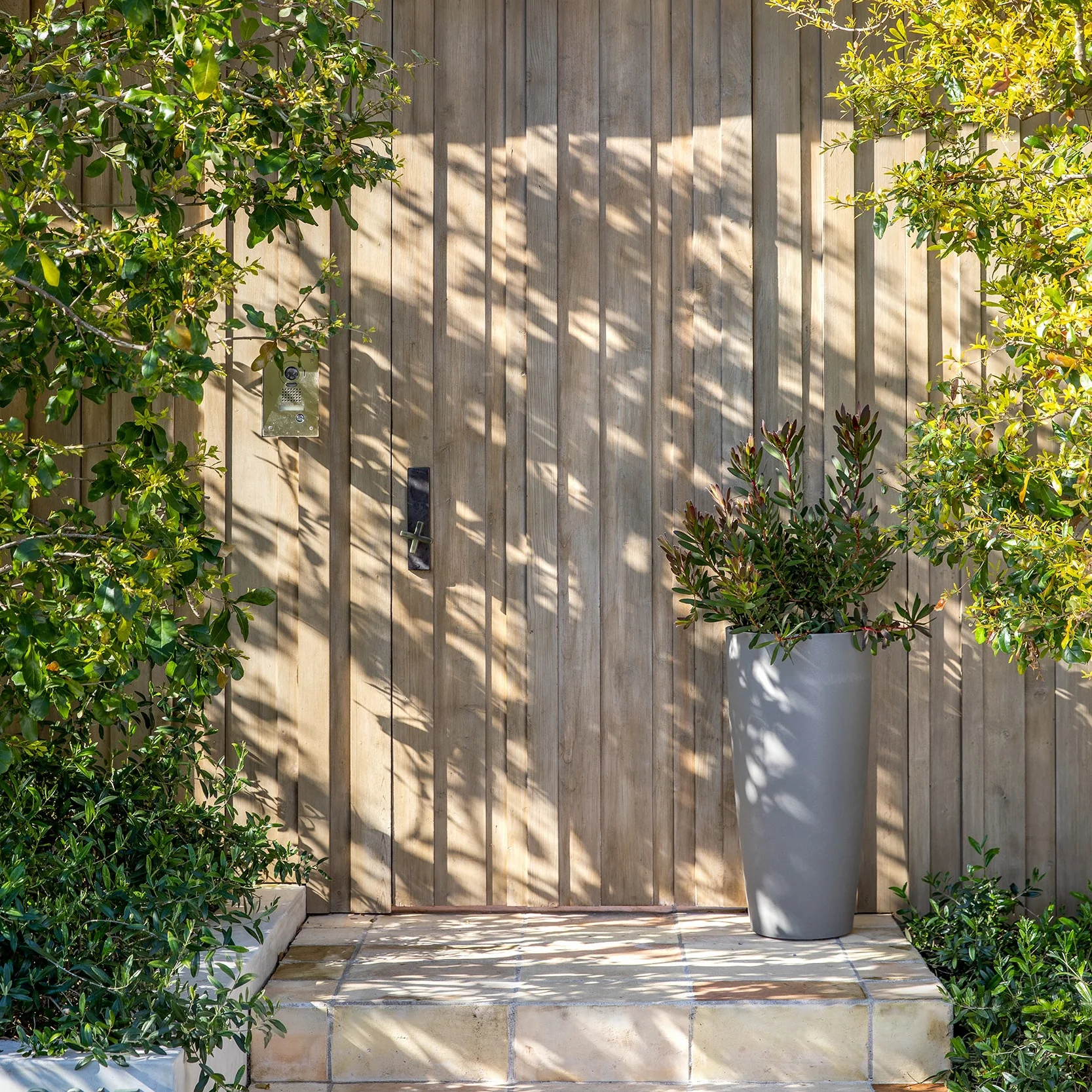 mason selena planter - Image 68