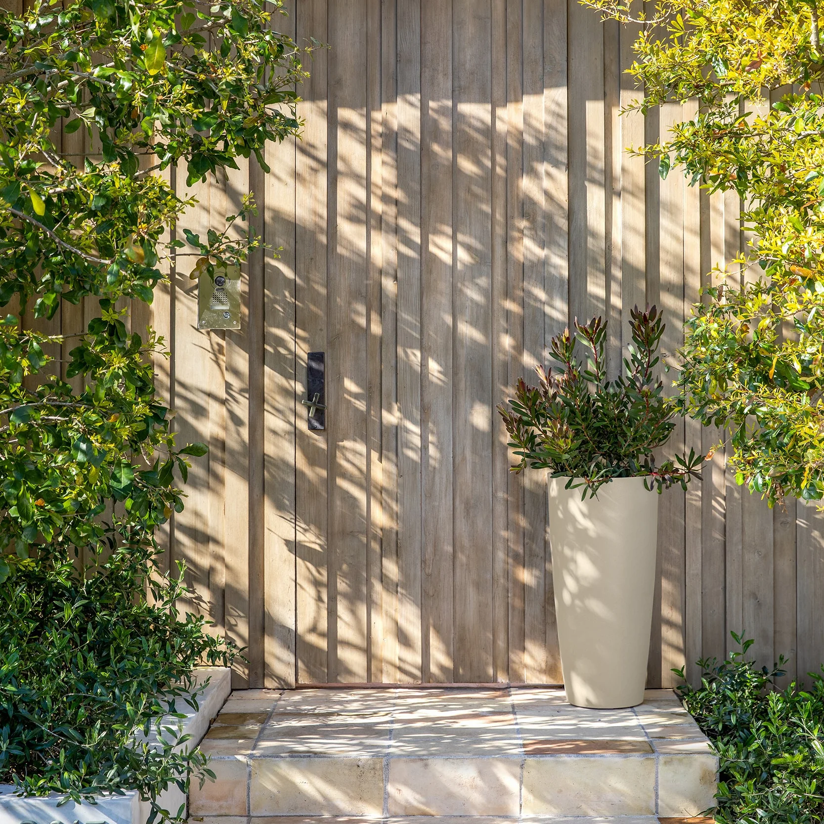 mason selena planter - Image 74