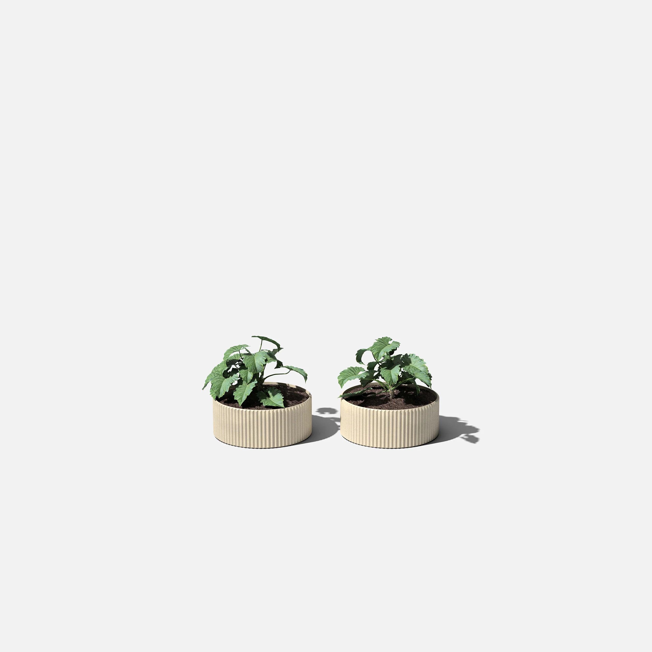 mod bowl planter duo - Image 12