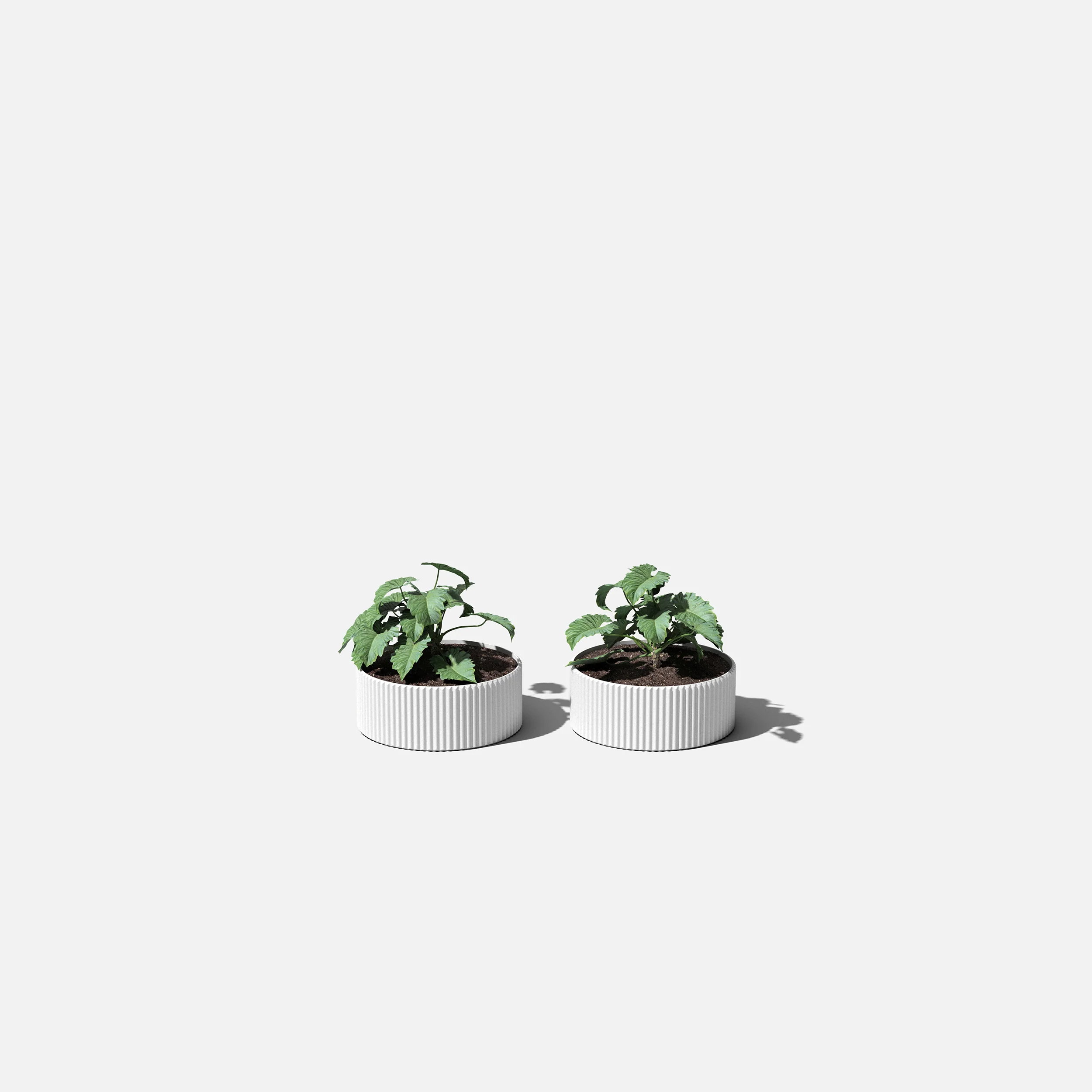 mod bowl planter duo - Image 17