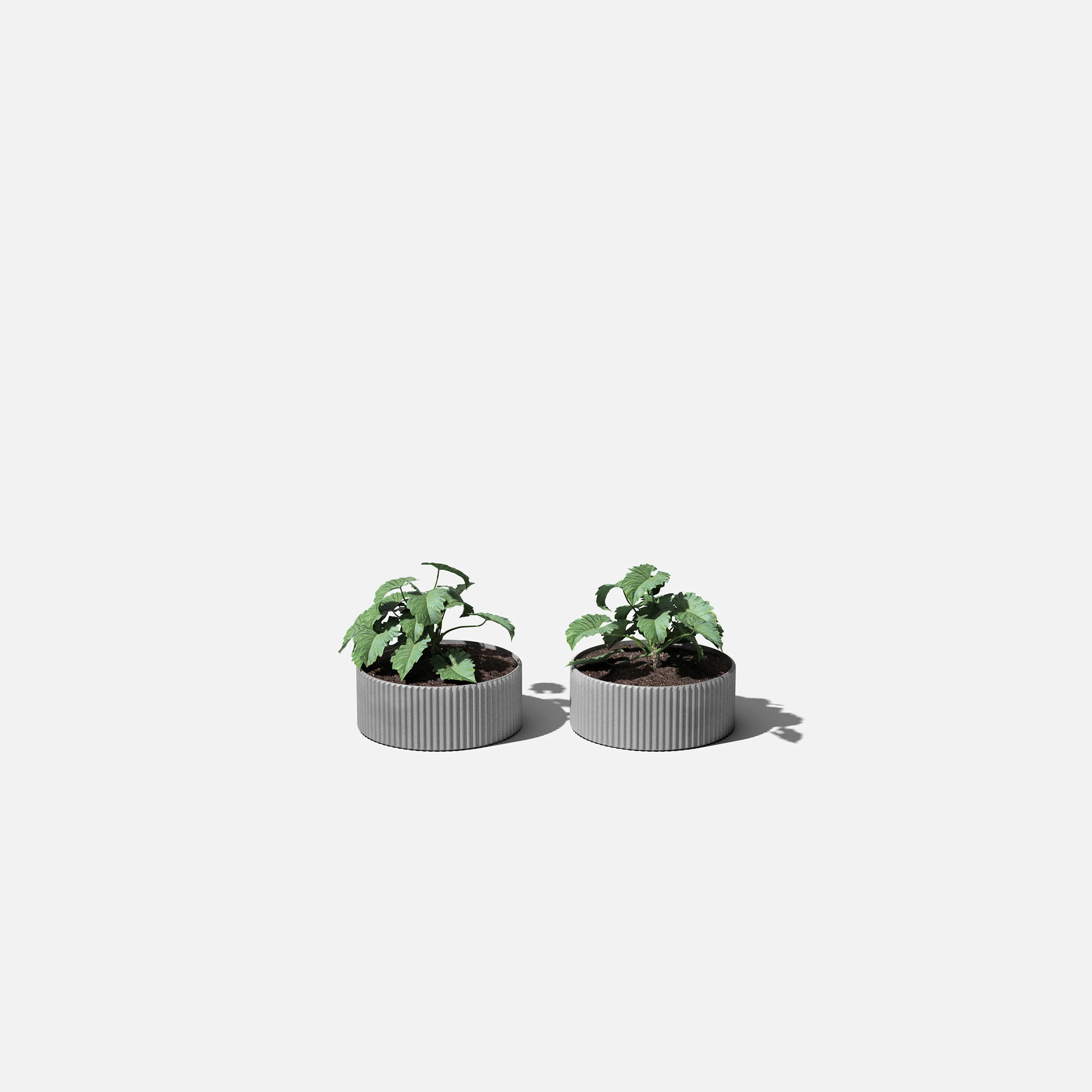mod bowl planter duo - Image 8