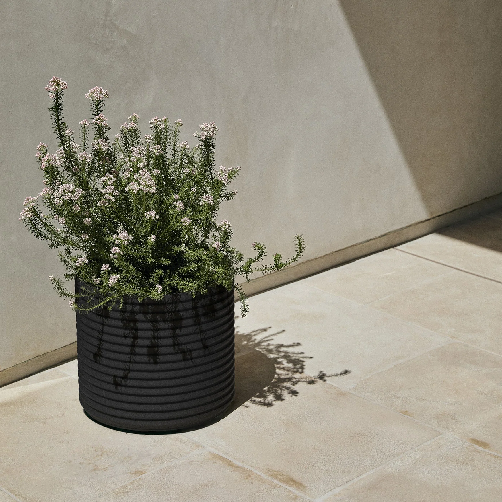 mod short planter - Image 45