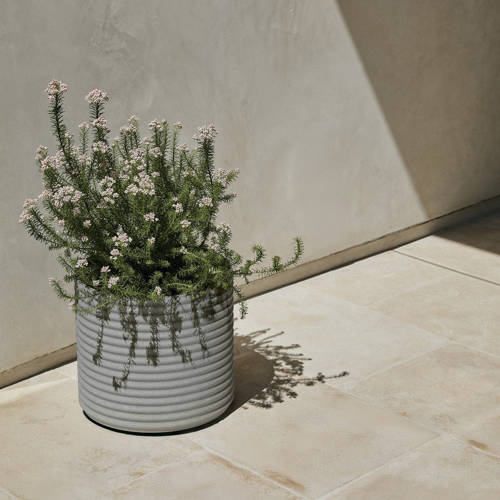 mod short planter - Image 48