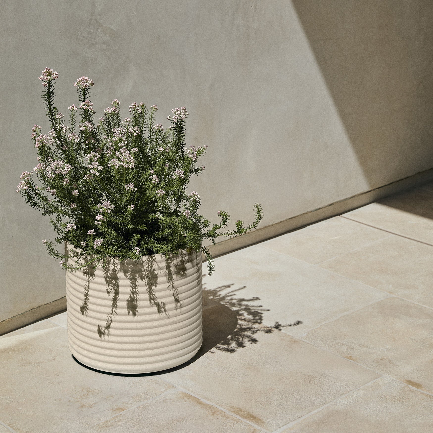 mod short planter - Image 52