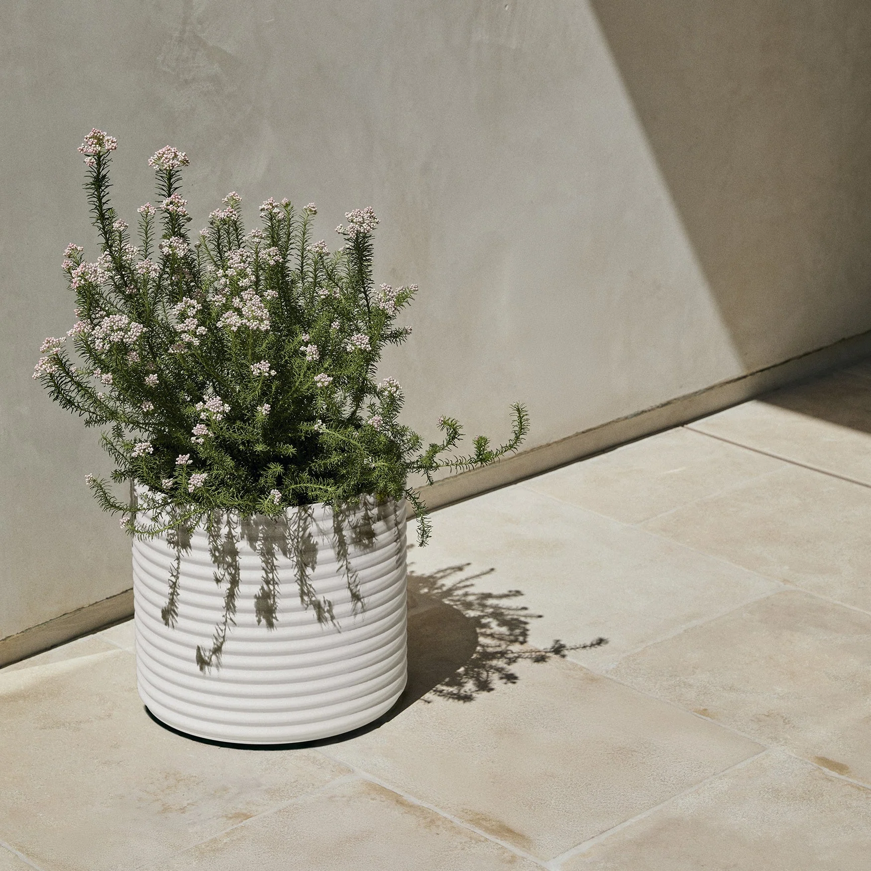 mod short planter - Image 56