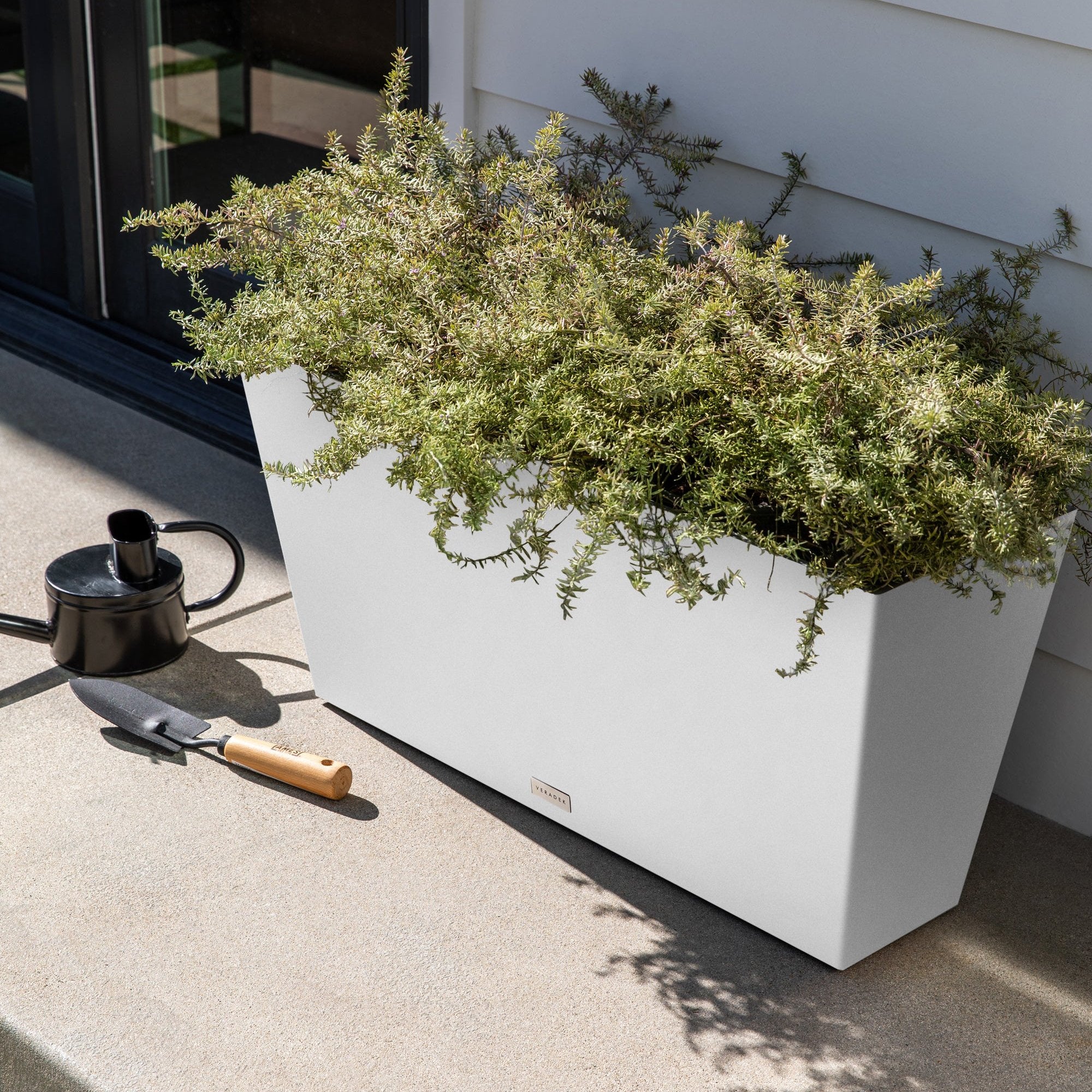 pure midori planter - Image 107
