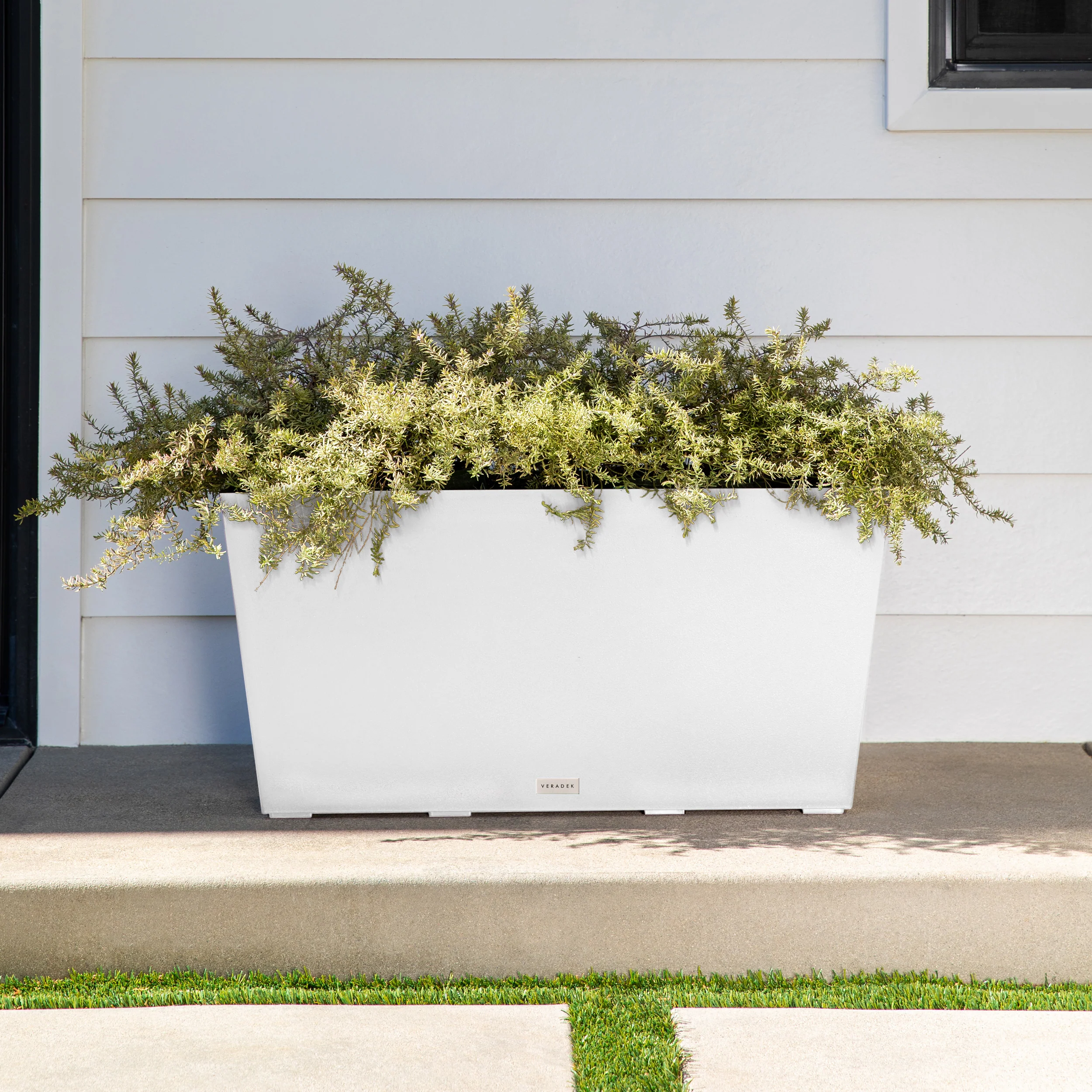 pure midori planter - Image 108