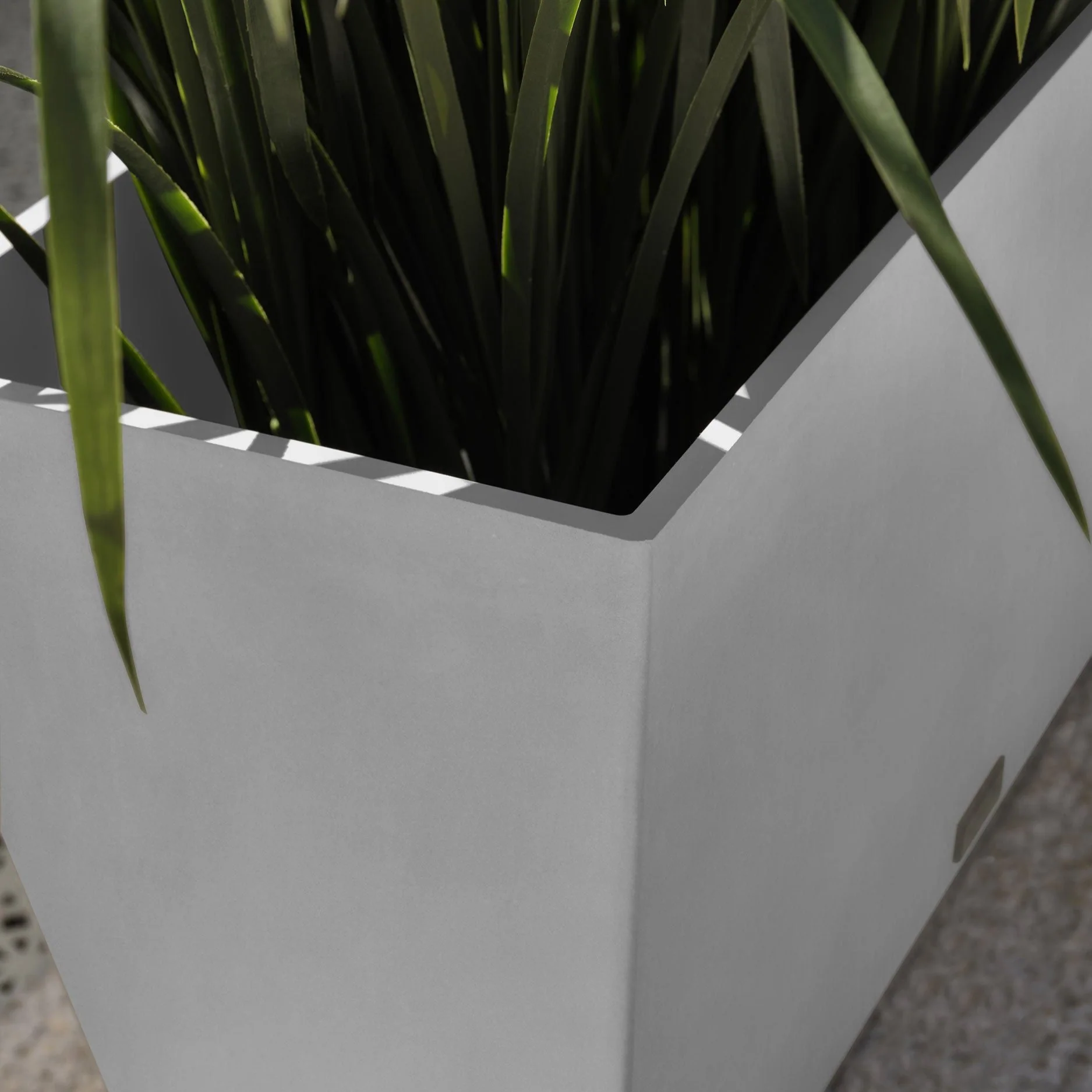 pure midori planter - Image 129