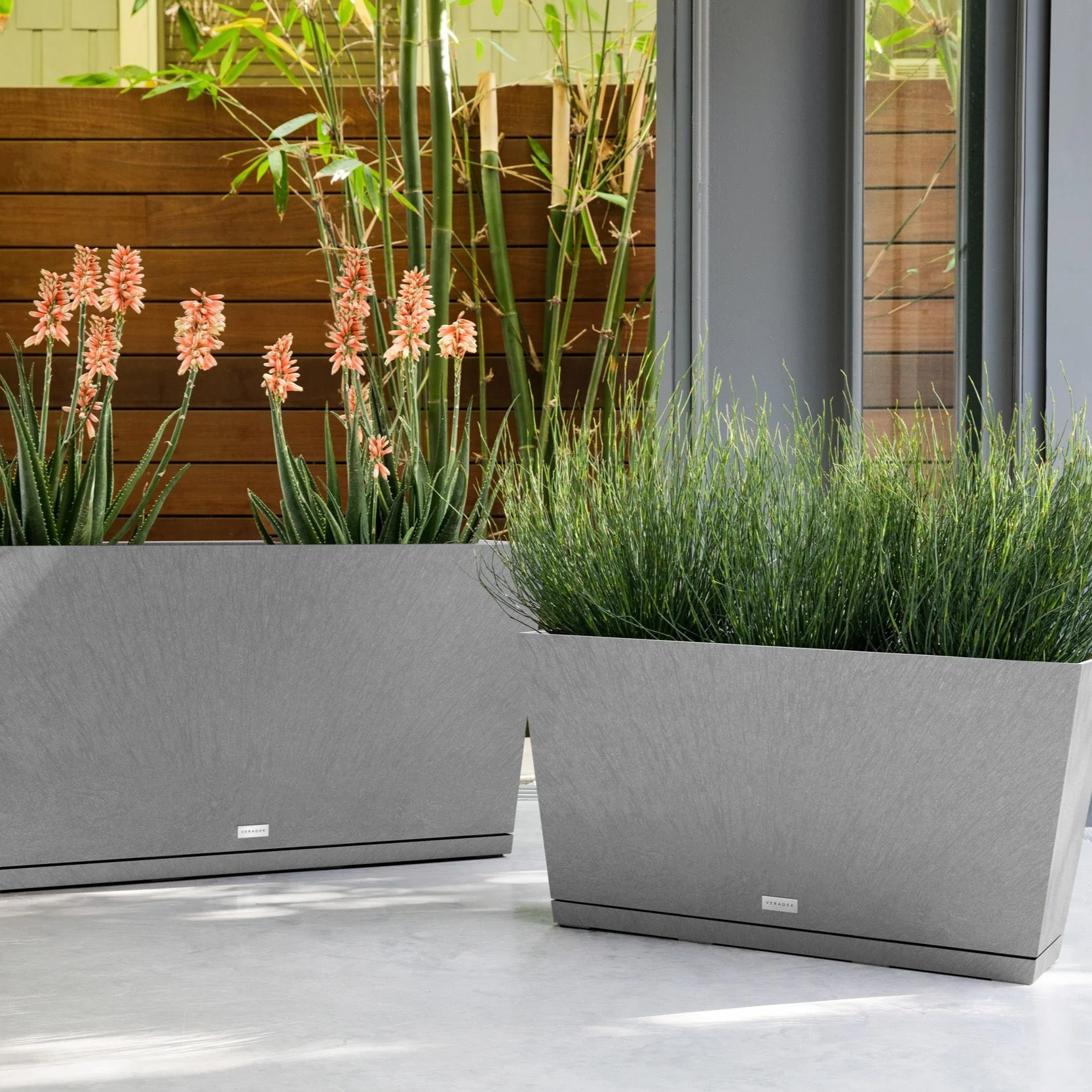 pure midori planter - Image 144