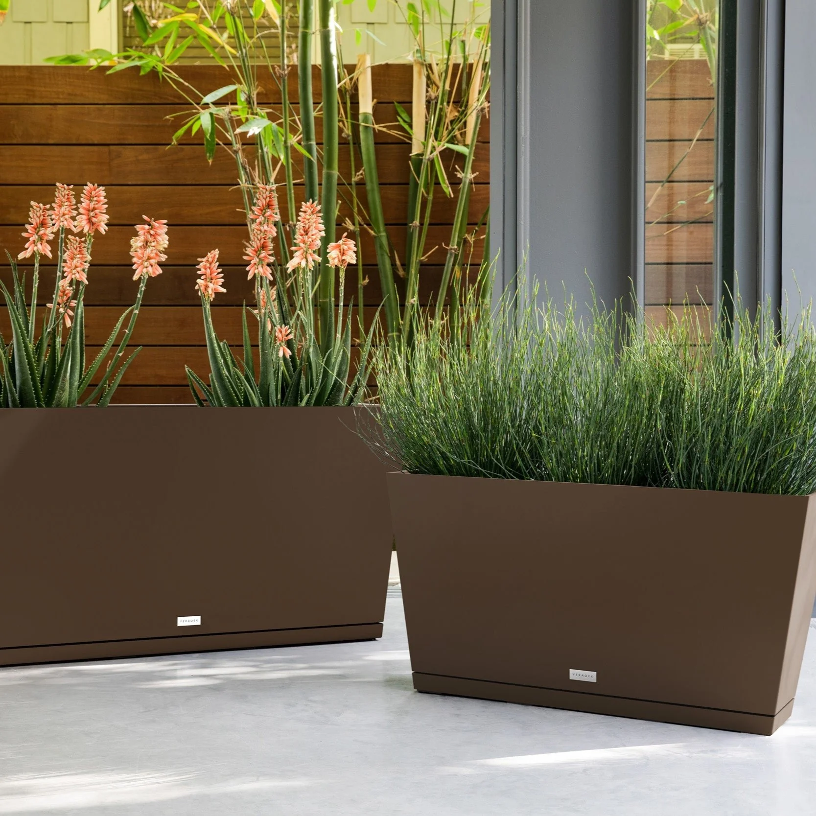 pure midori – the only tray™ - Image 49