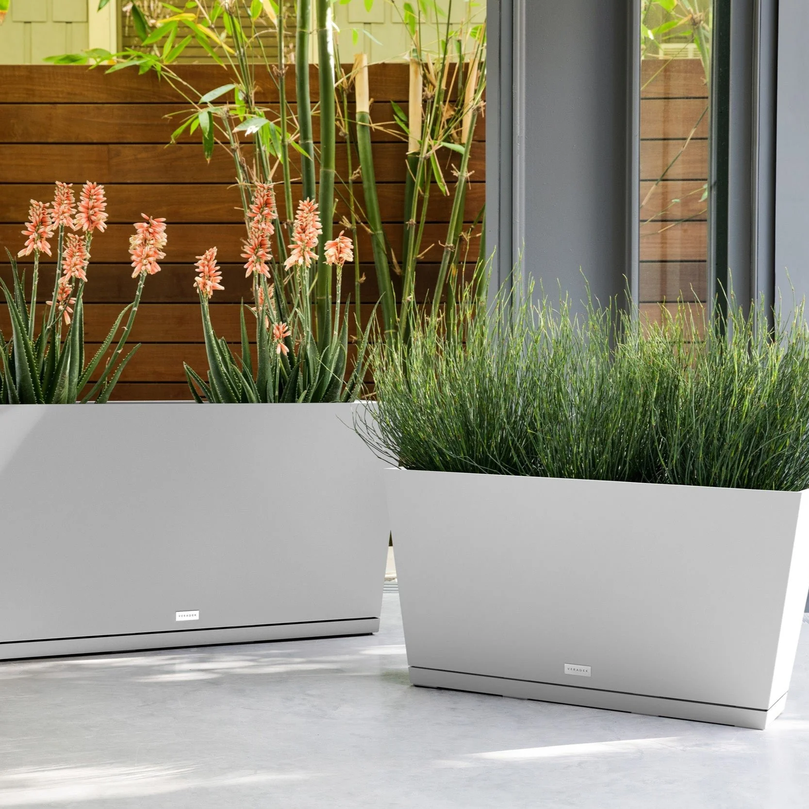 pure midori – the only tray™ - Image 50