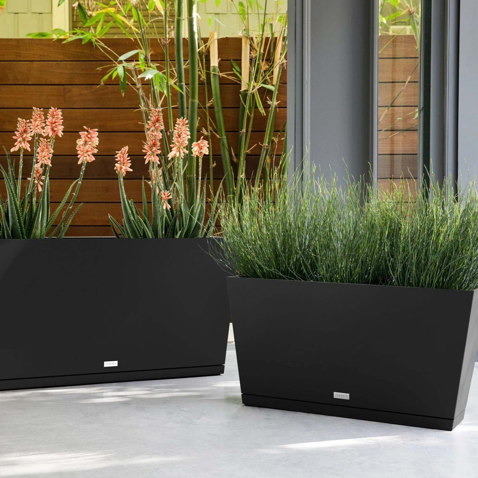pure midori – the only tray™ - Image 51