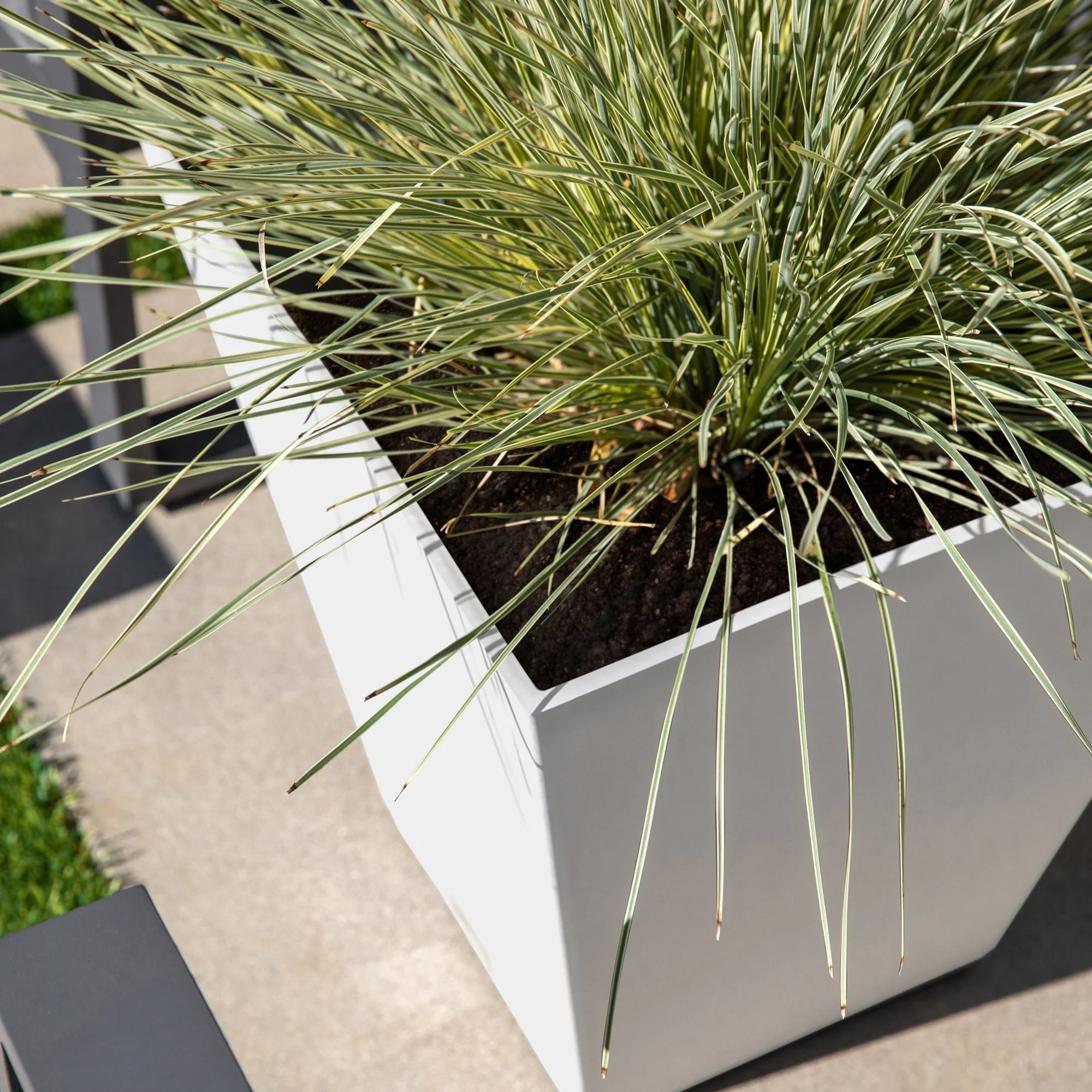 pure nobleton planter - Image 104