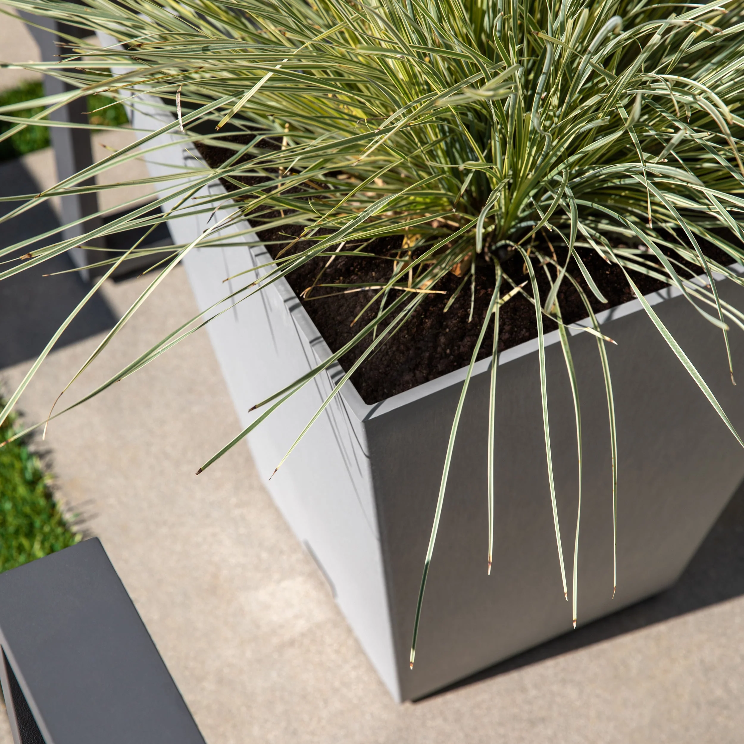 pure nobleton planter - Image 34