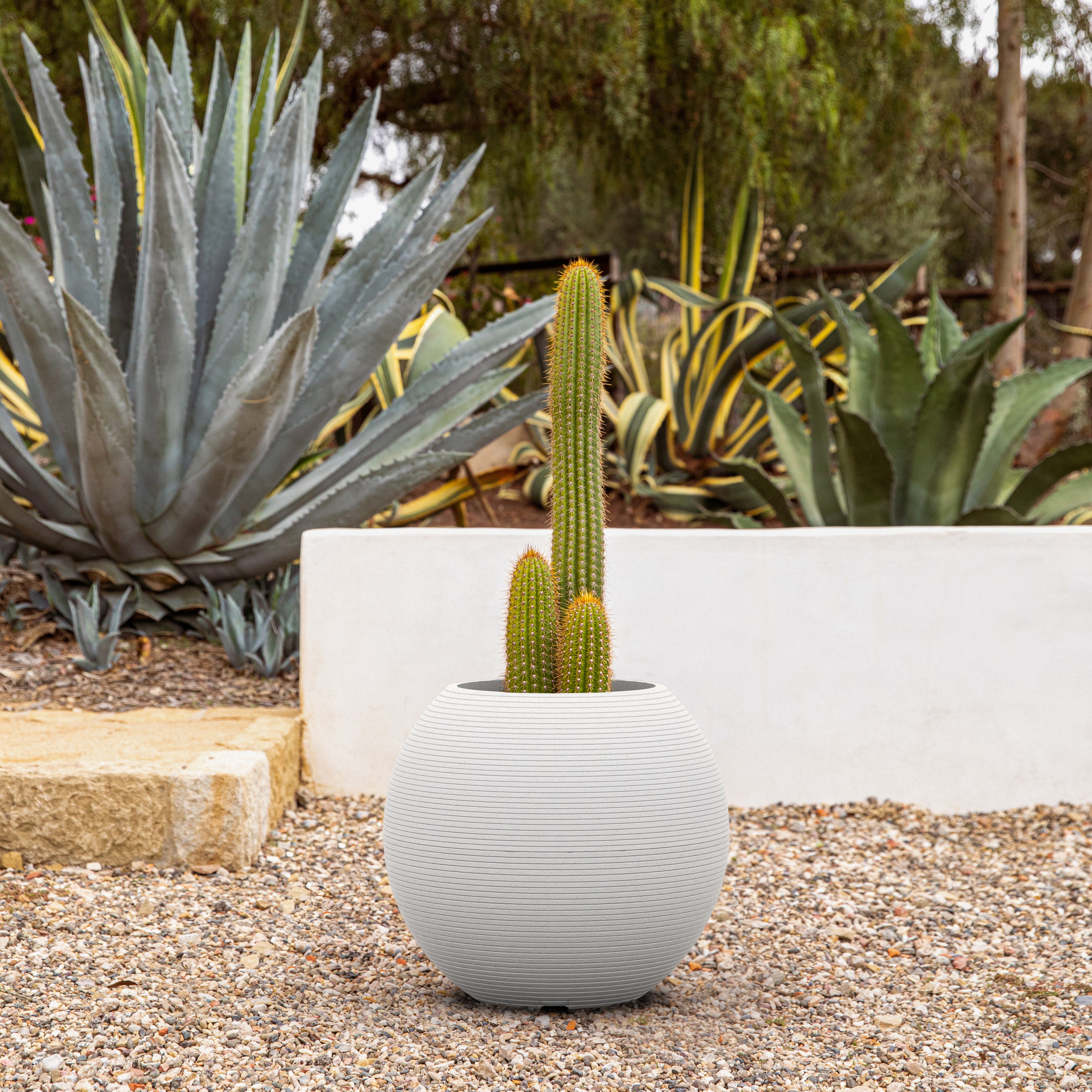 sphere planter - Image 44