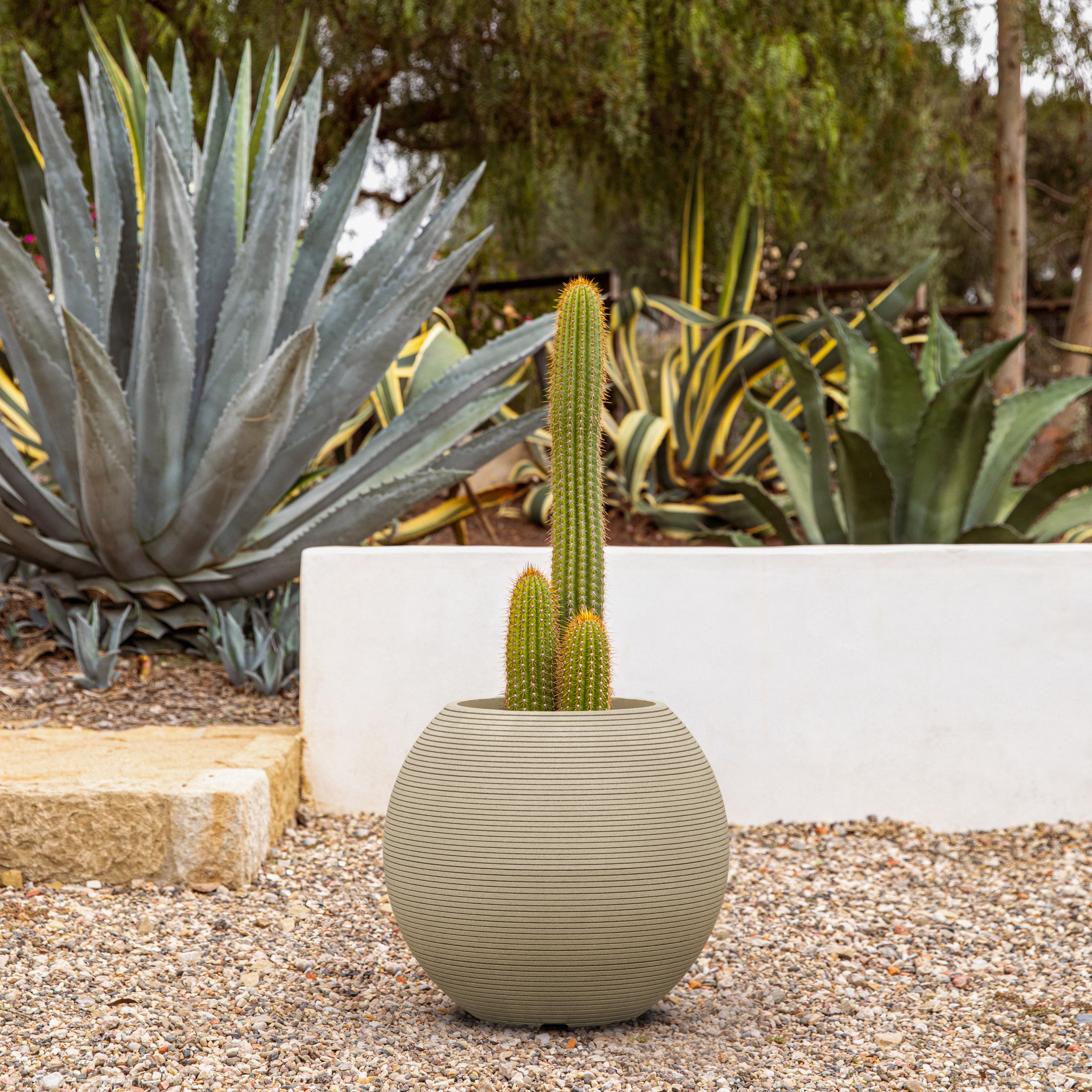 sphere planter - Image 50