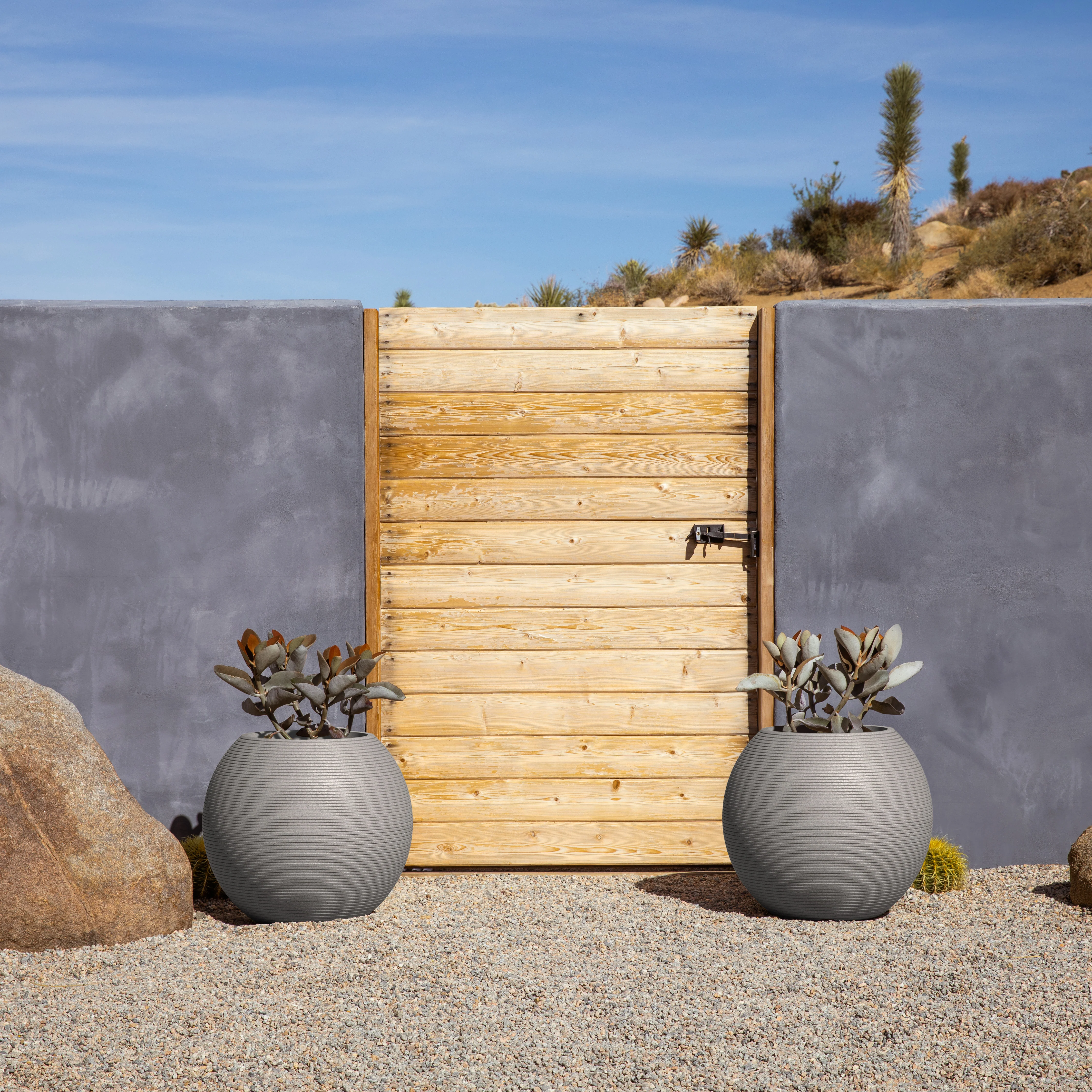 sphere planter - Image 54