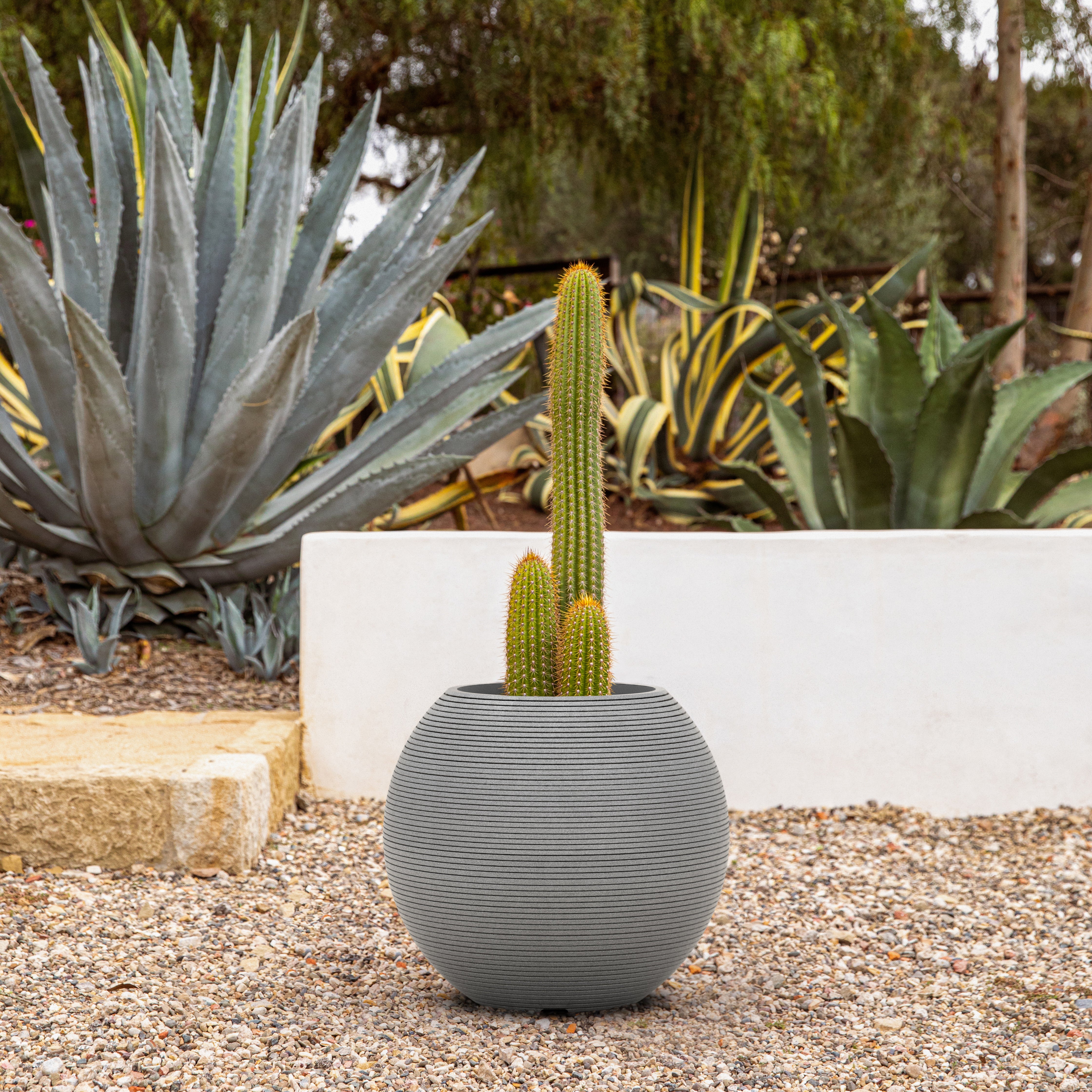 sphere planter - Image 55