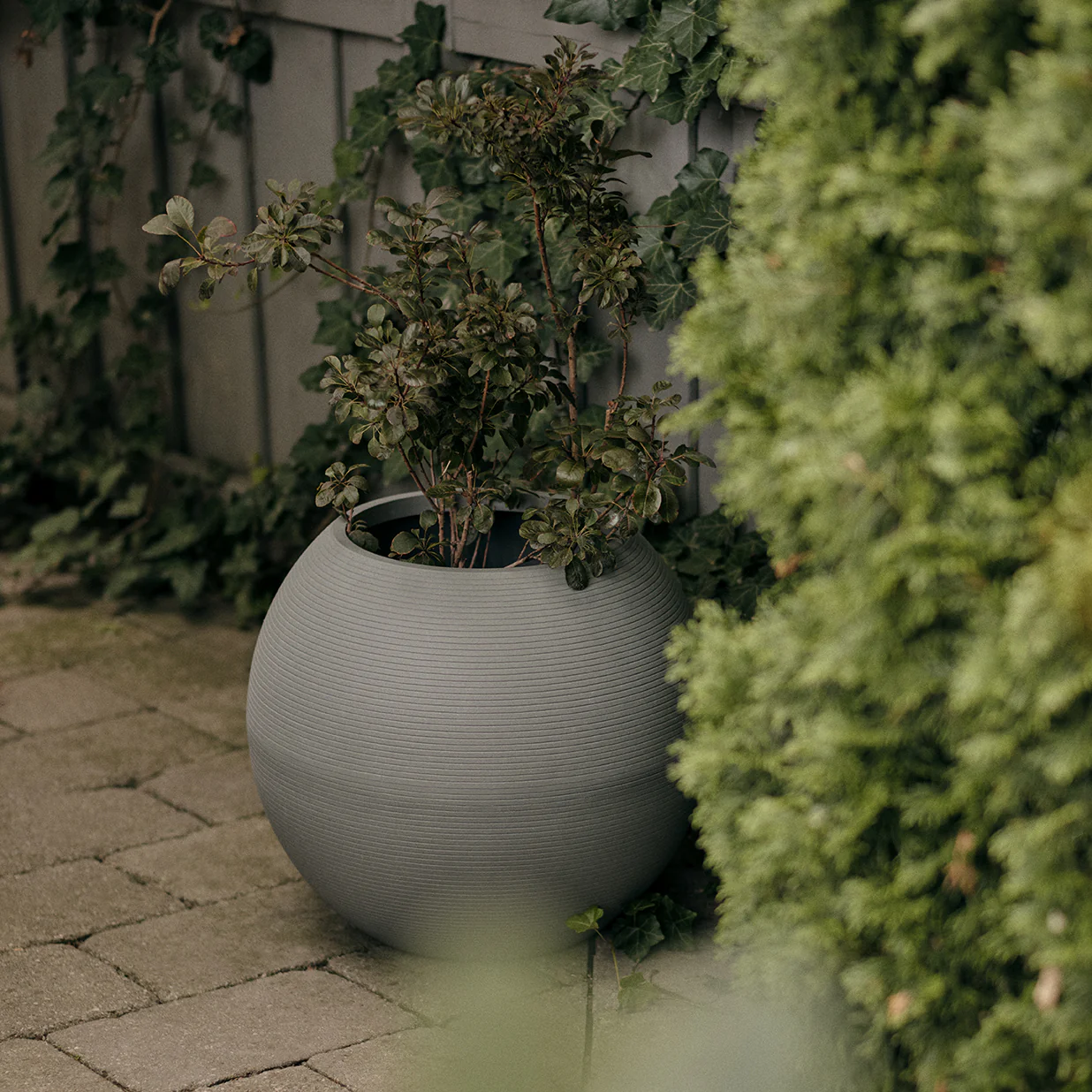 sphere planter - Image 56